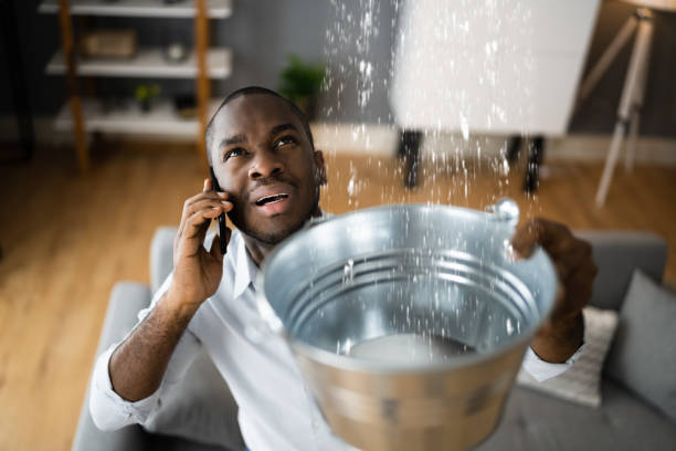 Best Mold removal after water damage  in Vashon, WA