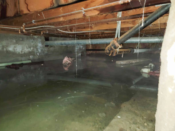 Best Ceiling water damage repair  in Vashon, WA