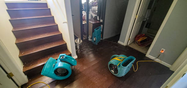 Best Water damage contractors near me  in Vashon, WA