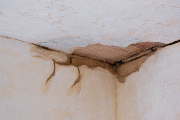 Best Commercial water damage restoration  in Vashon, WA