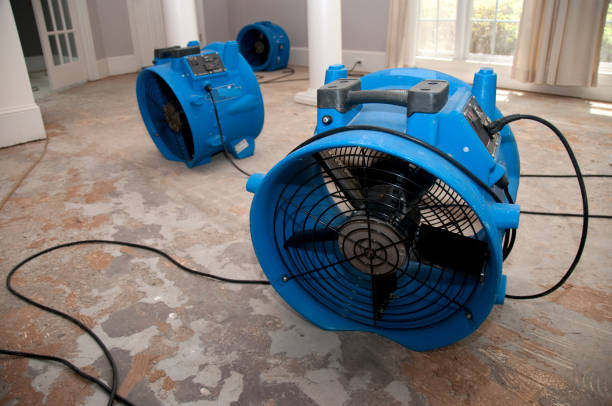 Best Flood damage cleanup  in Vashon, WA