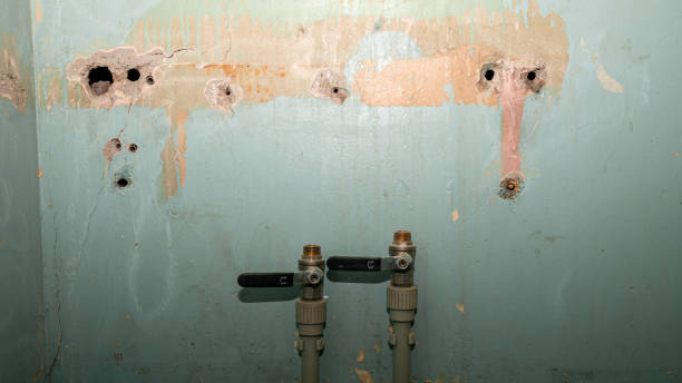 Best Water damage mitigation services  in Vashon, WA