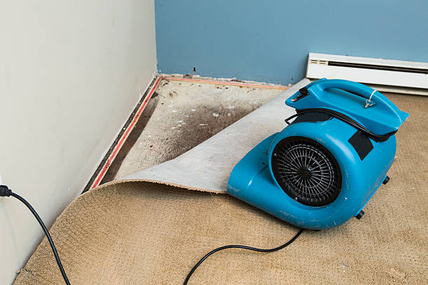 Best Flood restoration services  in Vashon, WA